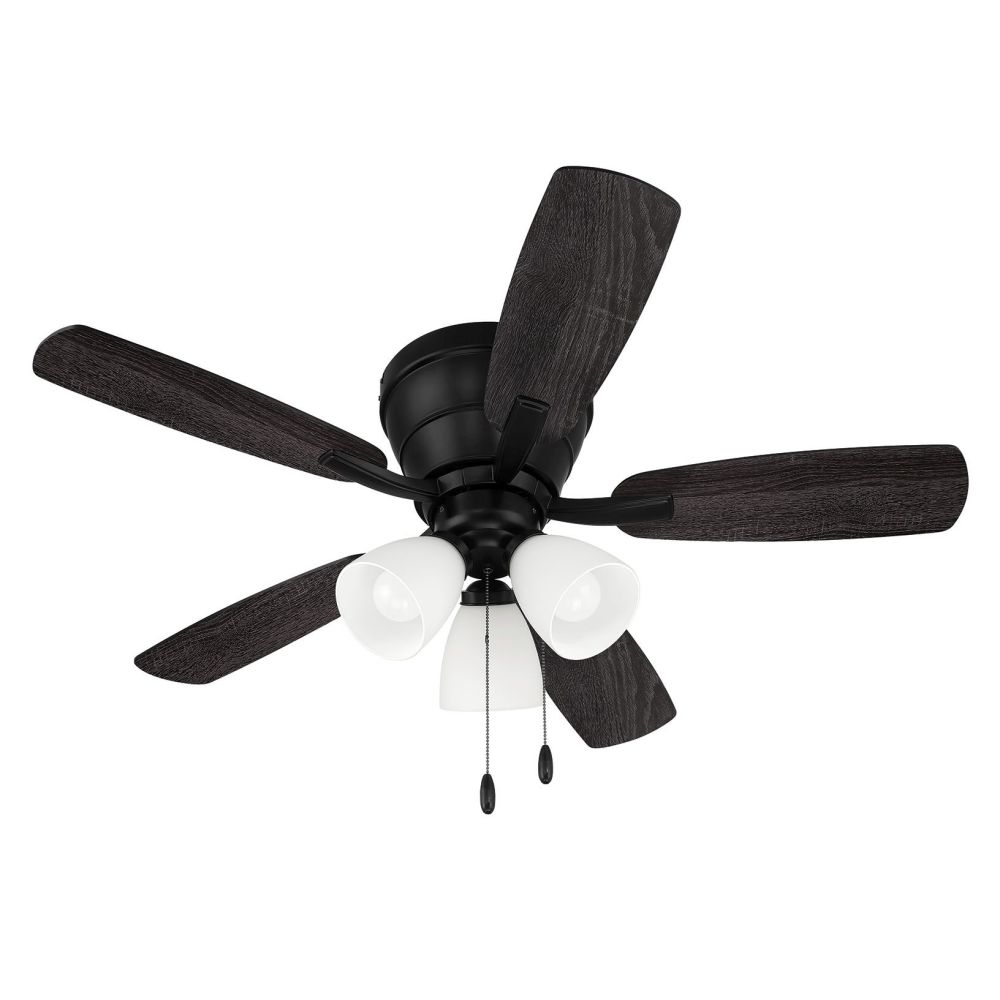 WHL42FB5C3
