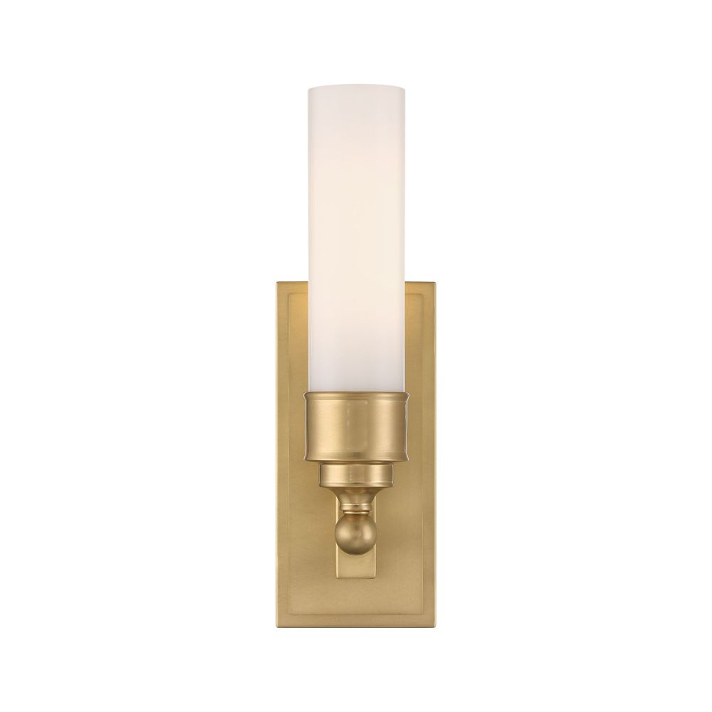 WLX-301-AG