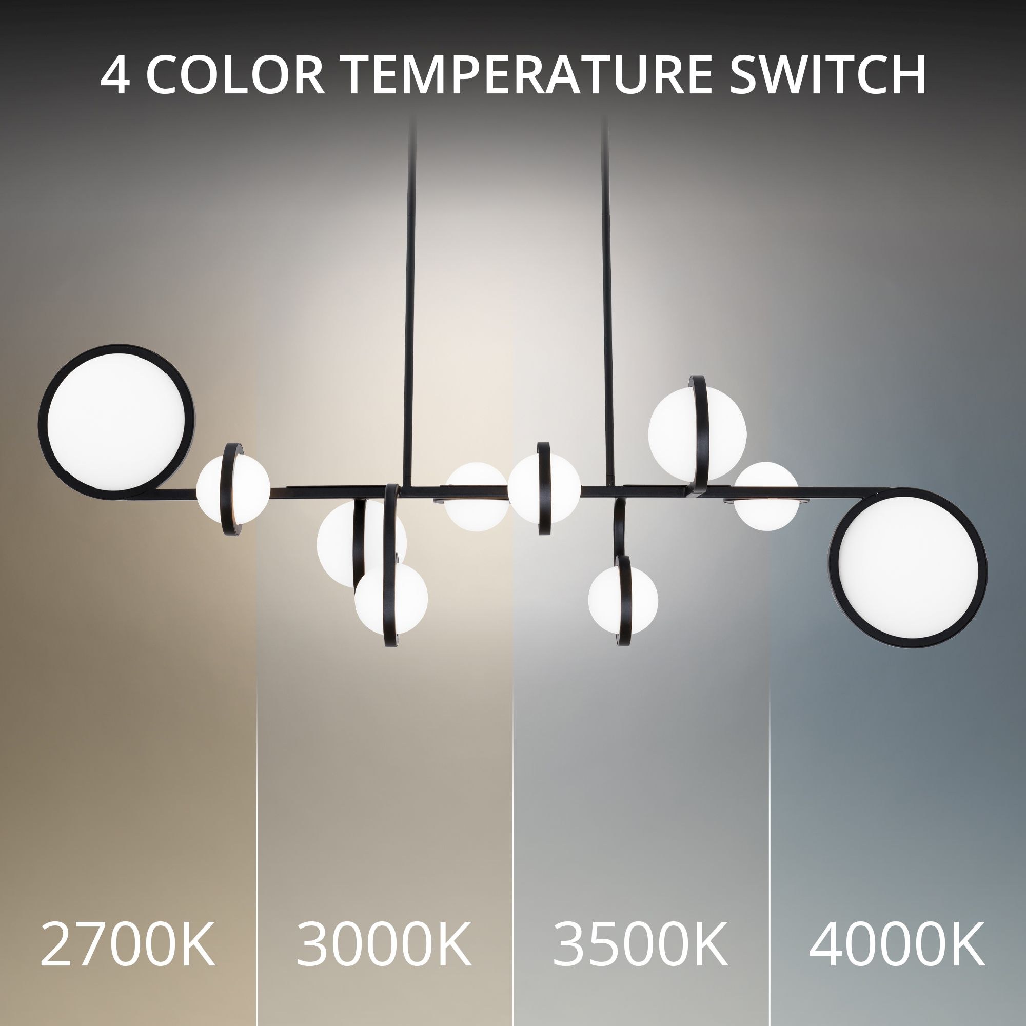PD-83542-40-BK