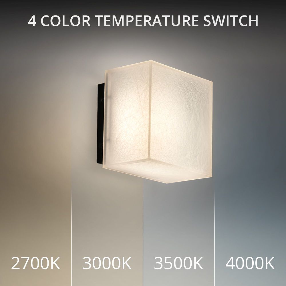 WS105605-BK