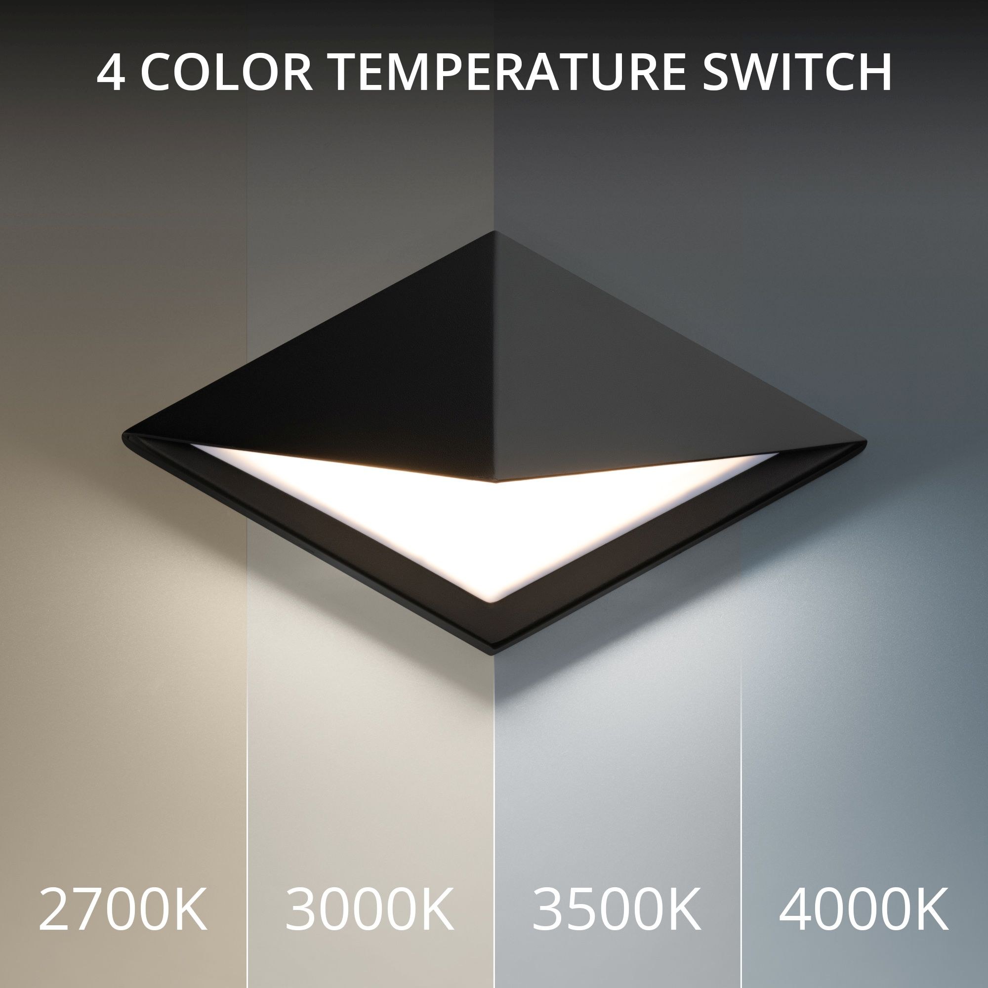 WS-W65412-35-BK