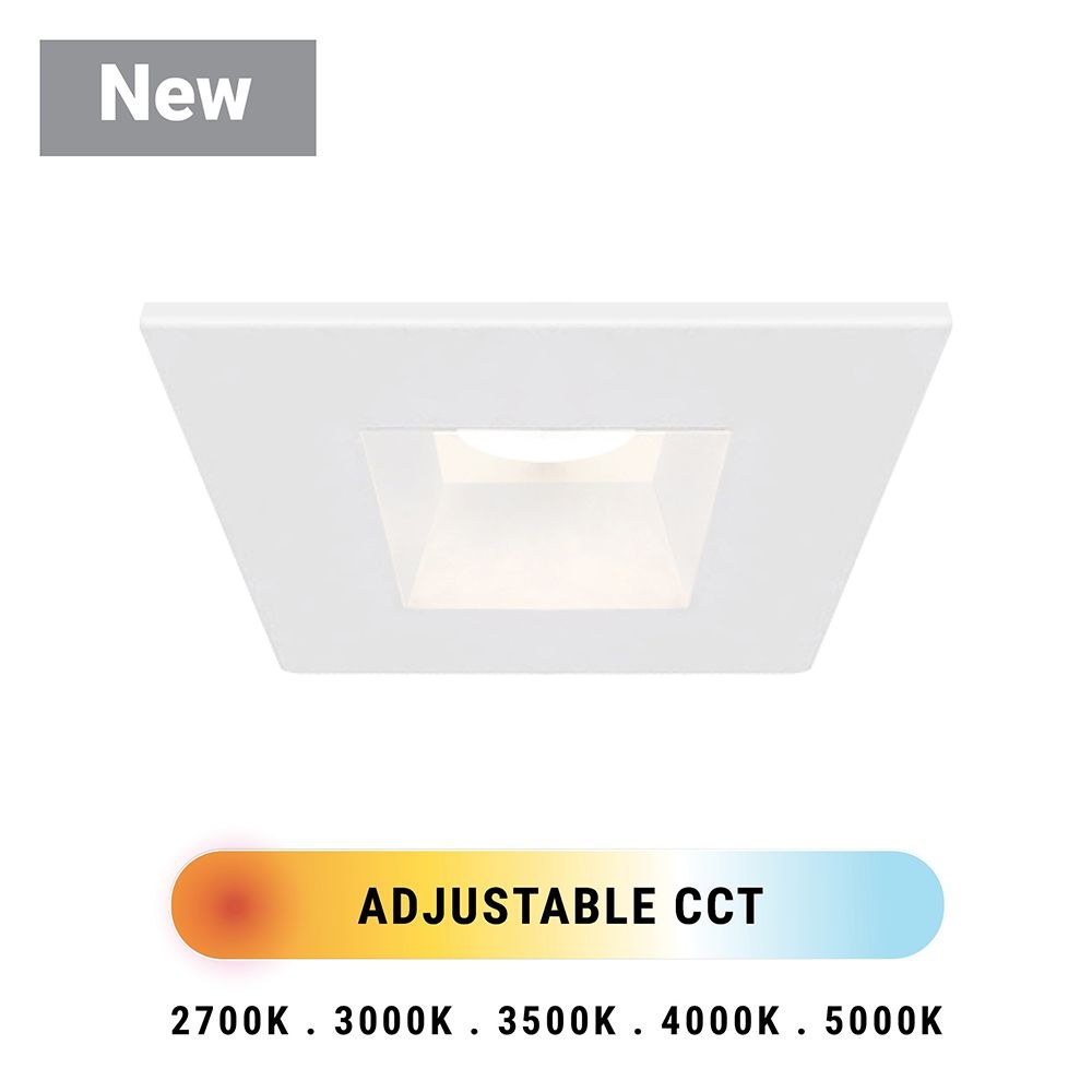 45362-019-2