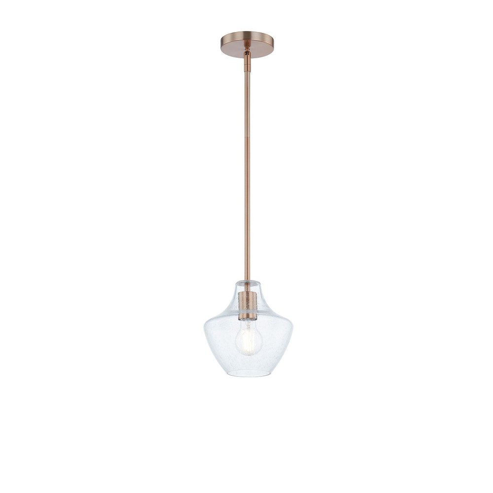 FSN-4177-SEED-BRSS