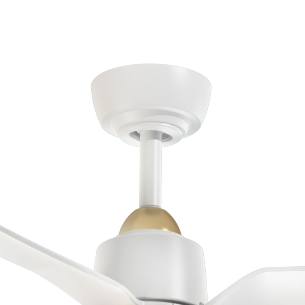 CF72952-BG/WH-5CCT