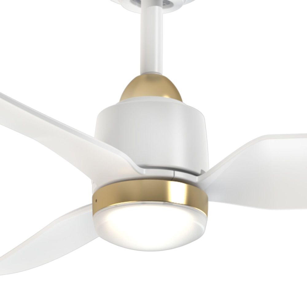 CF72952-BG/WH-5CCT