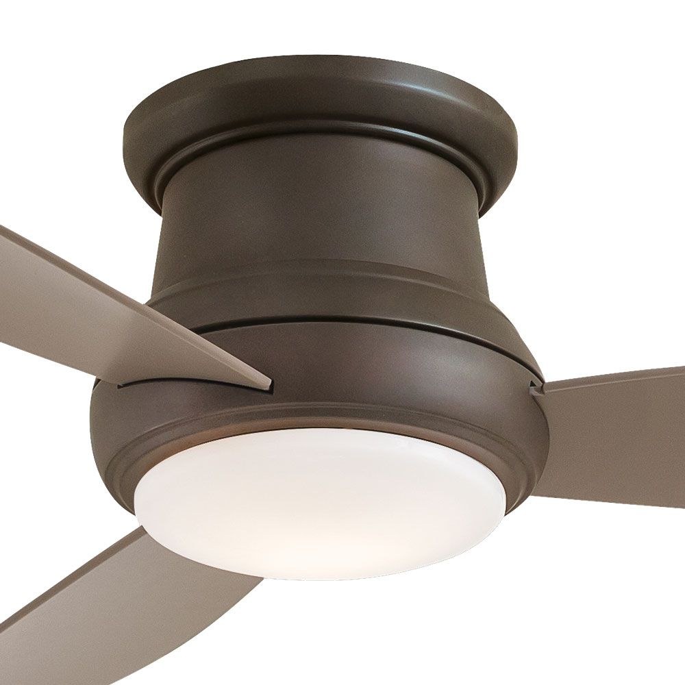 F519L-ORB