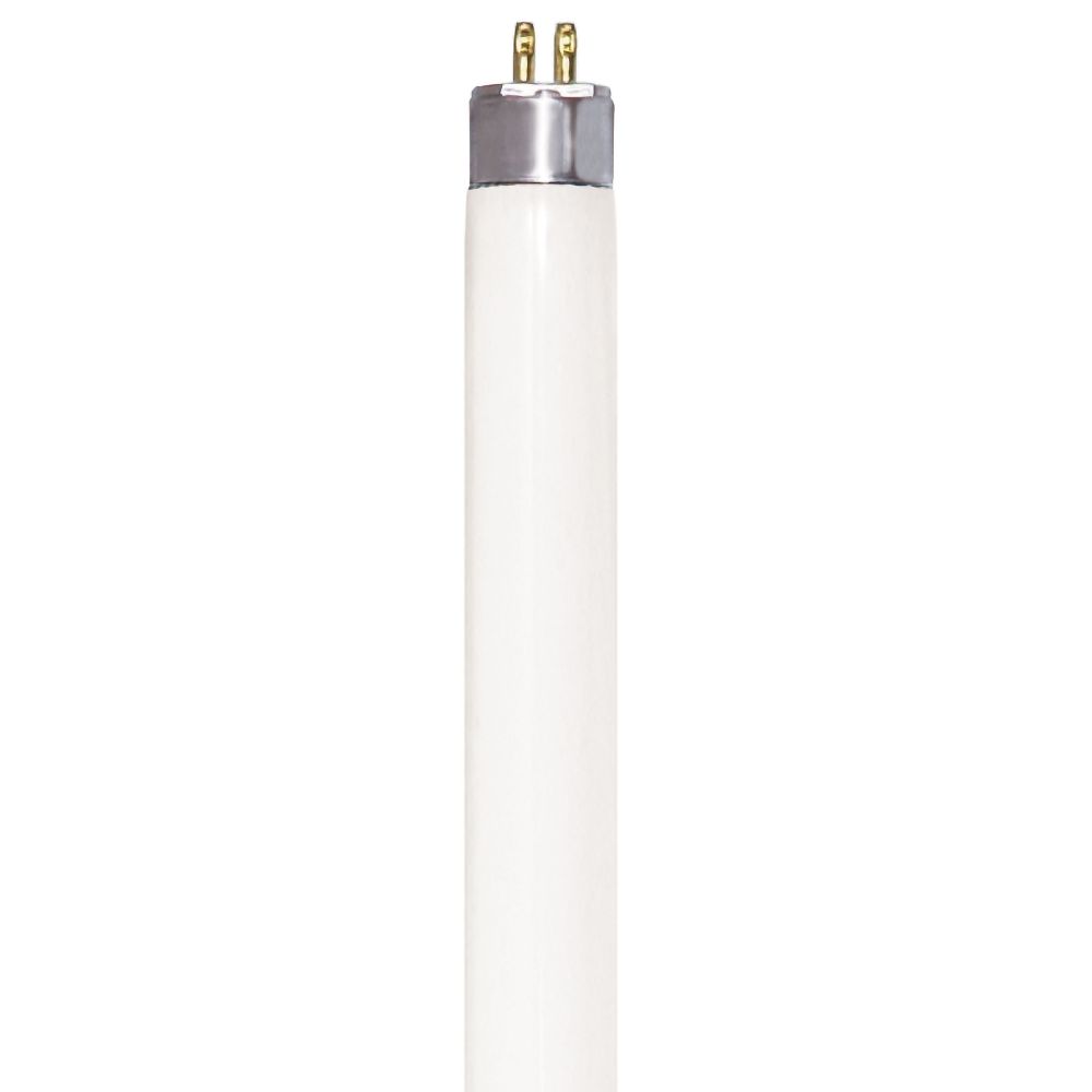 S6441