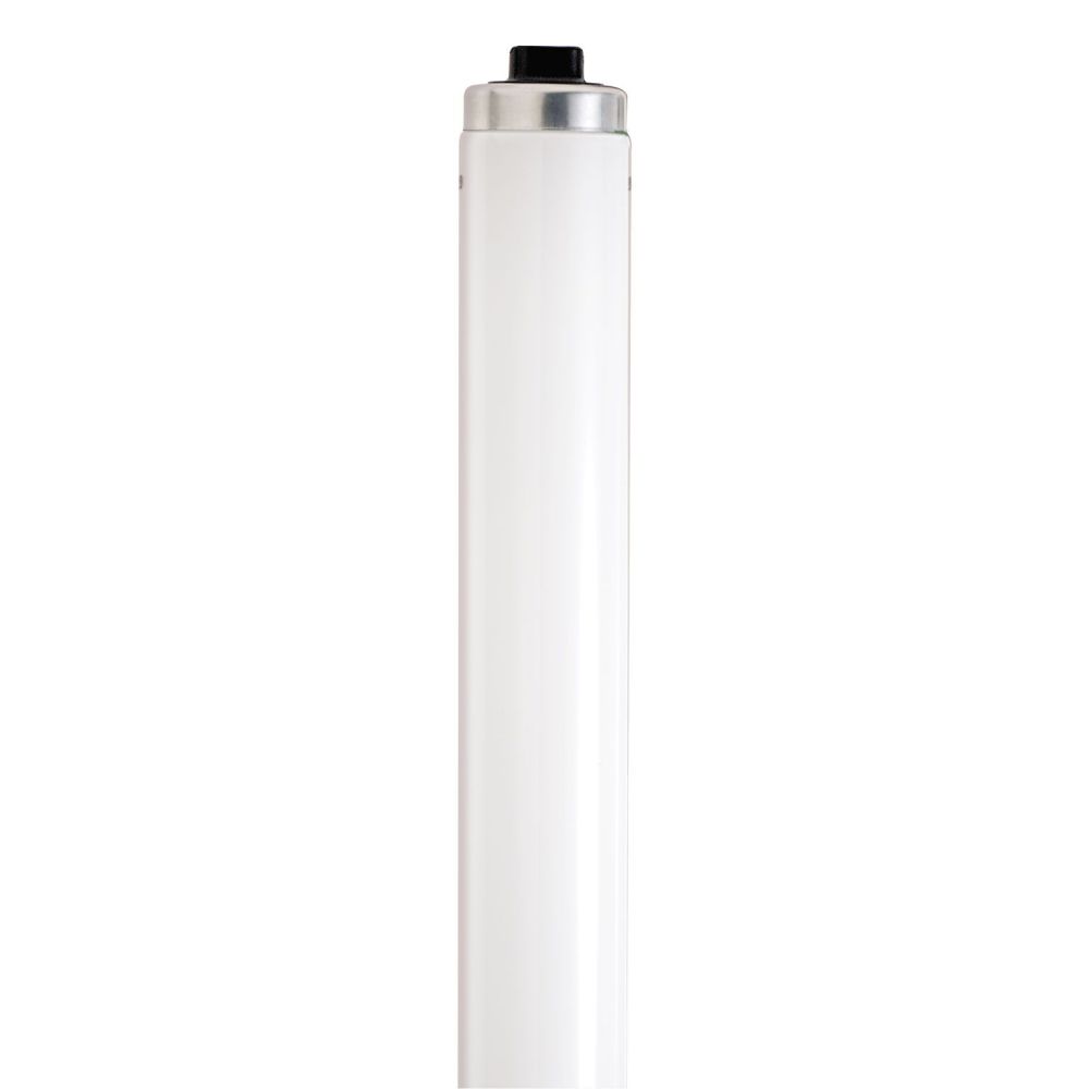 S6461