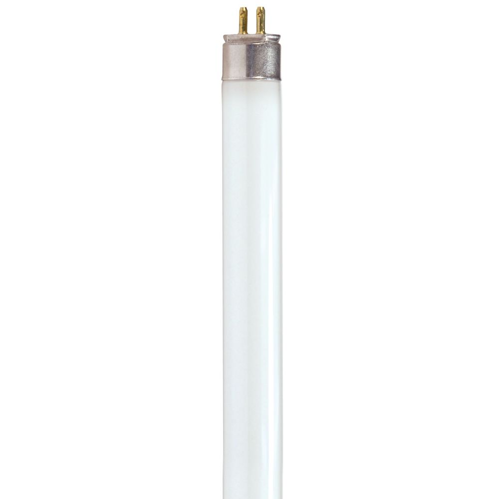 S8121